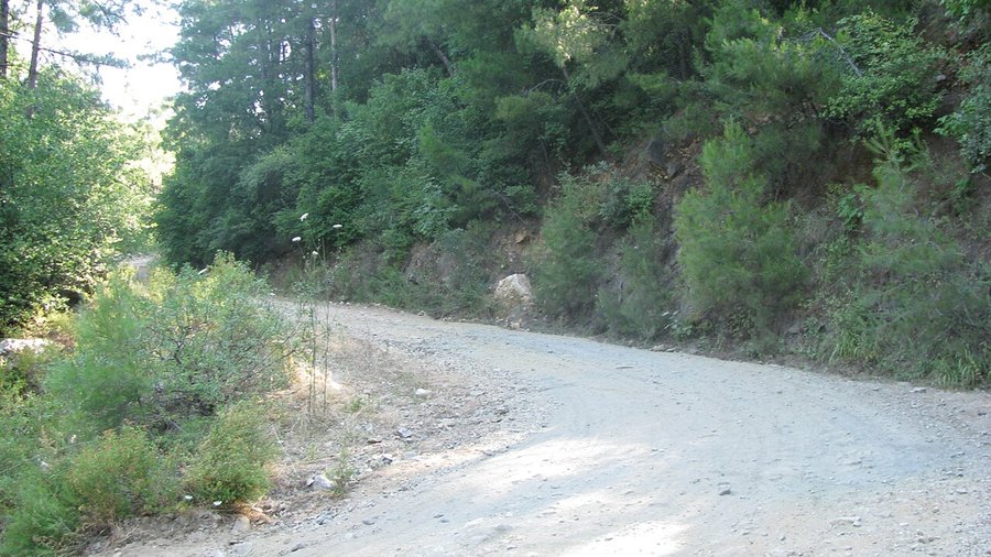 Davutlar